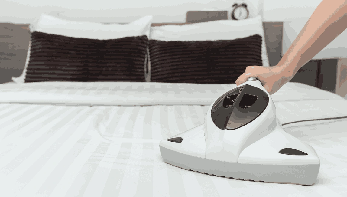 Professional Mattress Cleaning Bellbrae